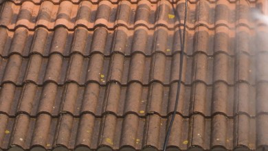 Nettoyage de toiture à plaisir